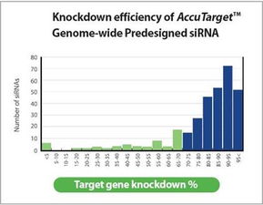 預設計的siRNA合成服務報價詳解 北京力途科技實驗與Web技術服務